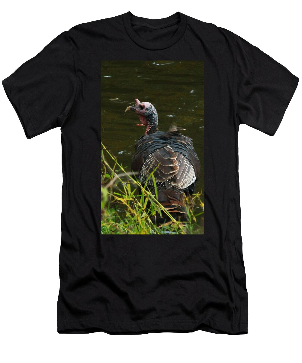Wild Turkey T-Shirt featuring the photograph Turkey at Lake by Jeff Kurtz