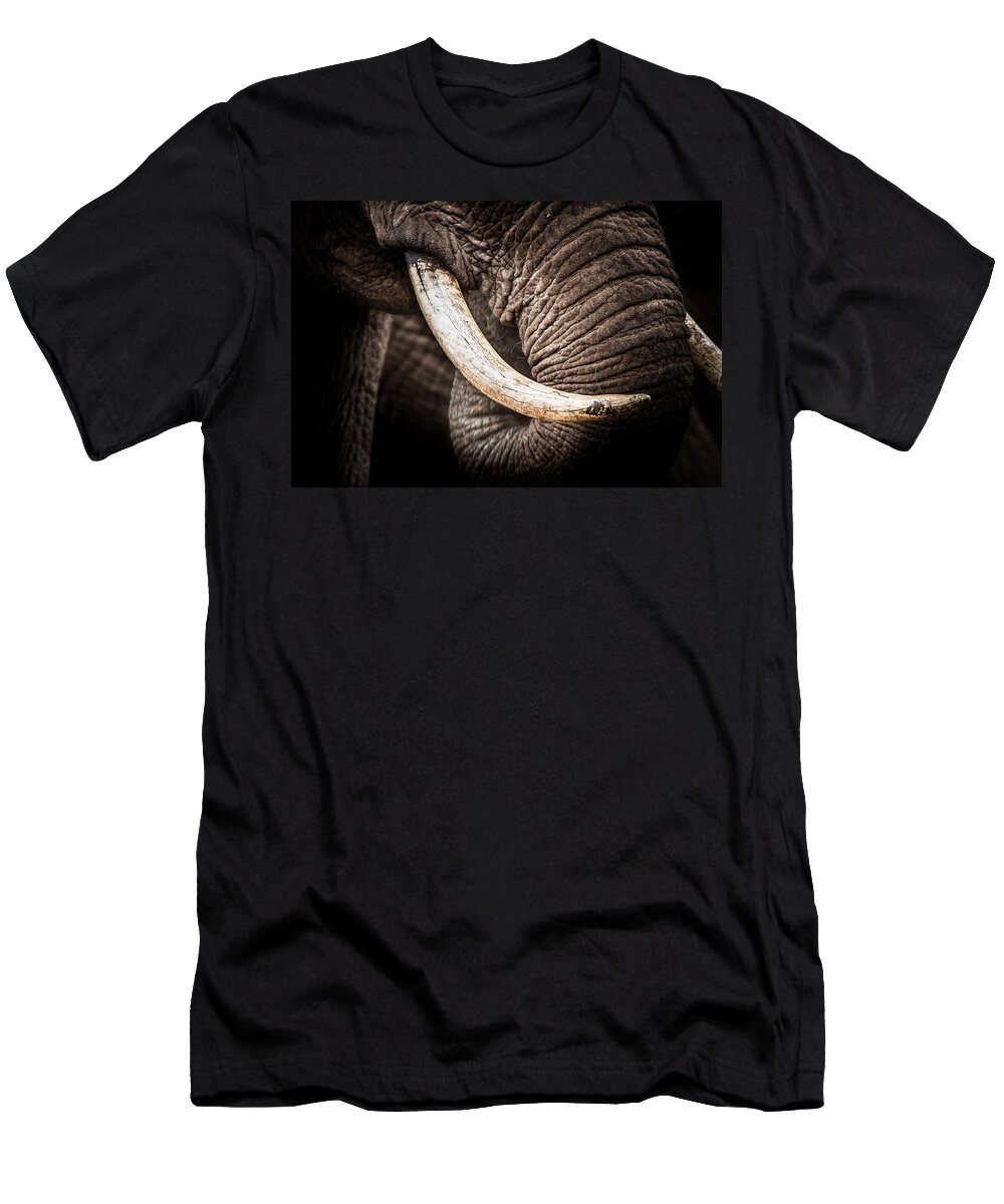 Abedare Mountains T-Shirt featuring the photograph Tusks And Trunk by Mike Gaudaur