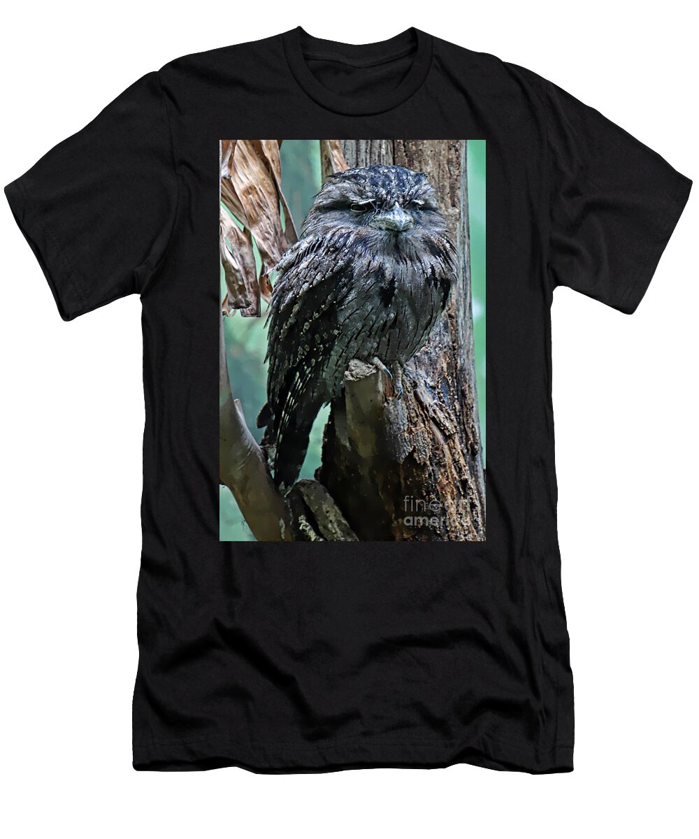 Tawny Frogmouth T-Shirt featuring the photograph Twany Frogmouth by Lilliana Mendez