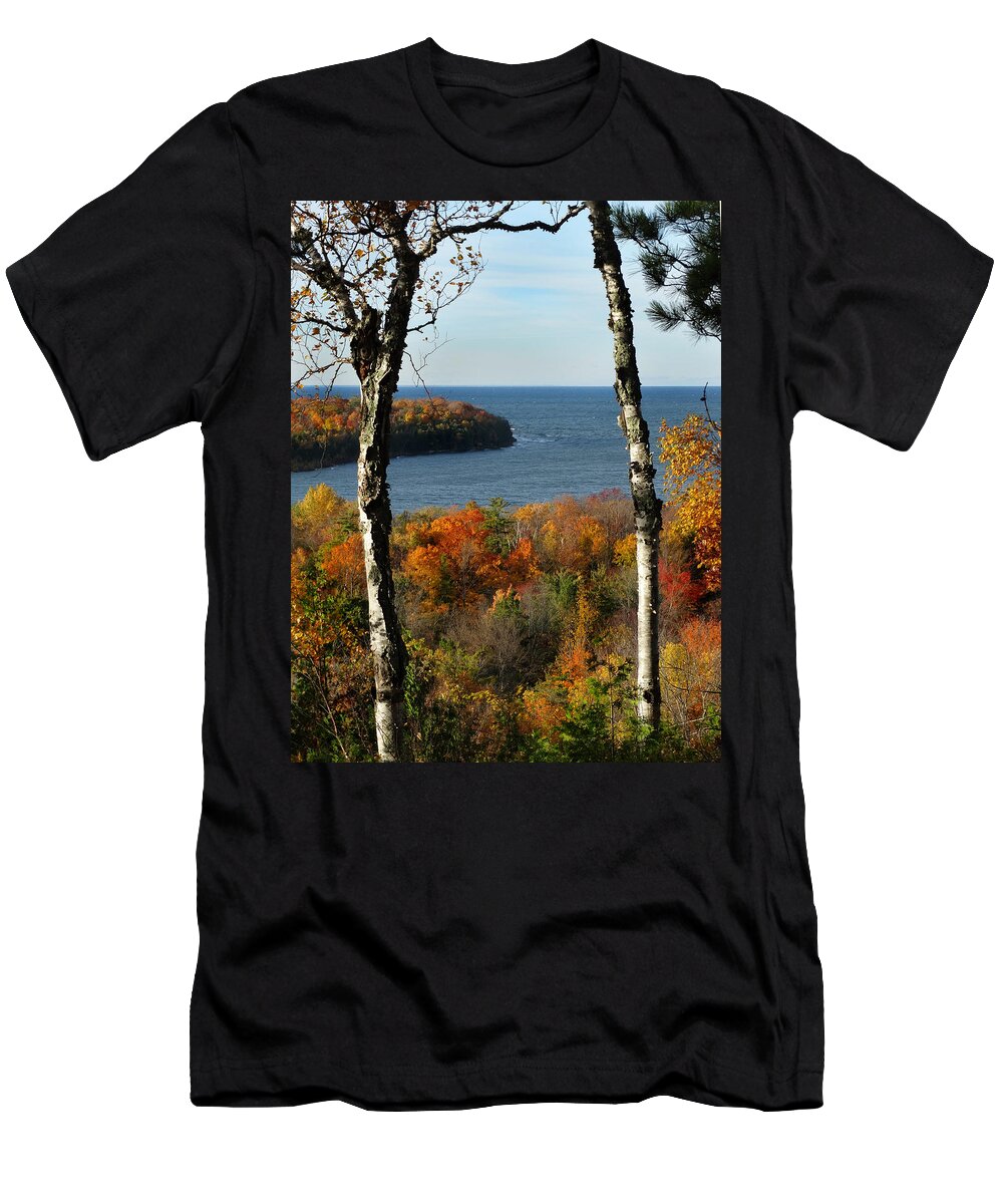 Birch T-Shirt featuring the photograph Twin Birches at Nicolet Bay by David T Wilkinson