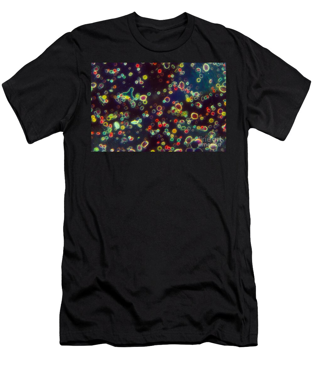 Science T-Shirt featuring the photograph Typical Hay Fever Pollen Lm by Dr. Cecil H. Fox