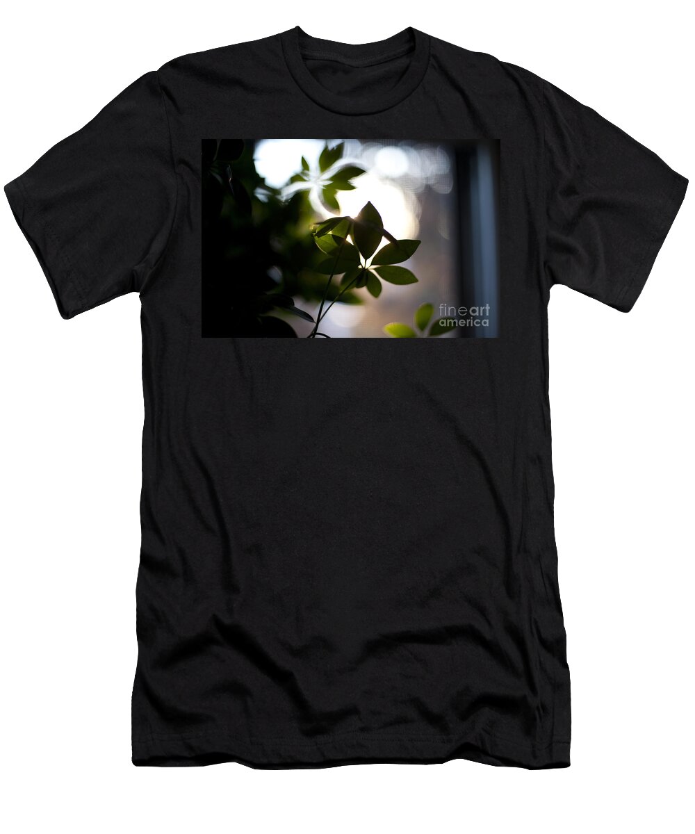 Morning T-Shirt featuring the photograph Umbrella Plant Summer Morning by Steven Dunn