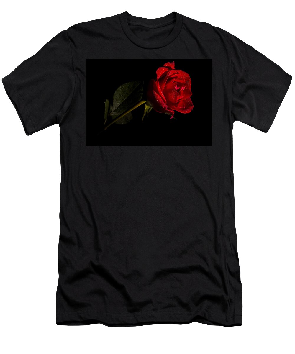 Flowers T-Shirt featuring the photograph Valentine's Day Velvet Rose by Eduard Moldoveanu