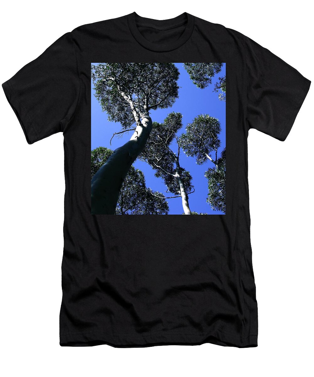 Landscape T-Shirt featuring the digital art Valley of the Giant Tingles by Tim Richards