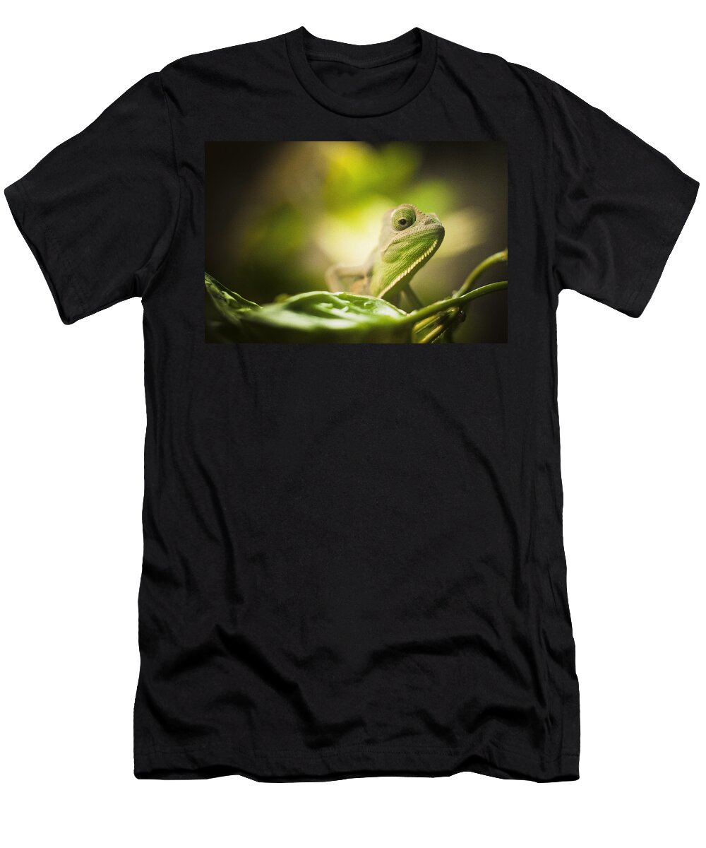 Veiled T-Shirt featuring the photograph Veiled Chameleon Is Watching You by Bradley R Youngberg