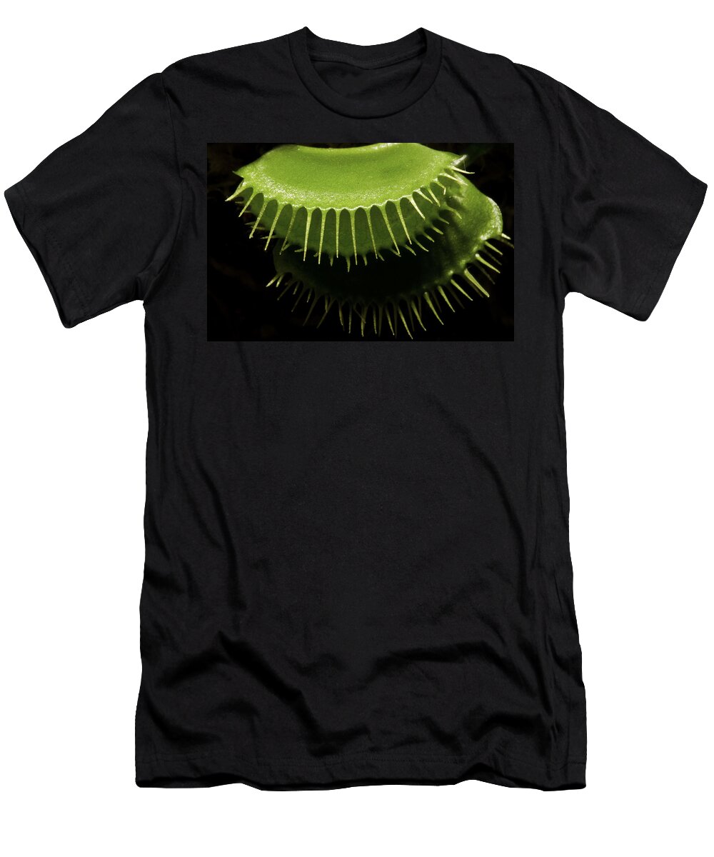 Flytrap T-Shirt featuring the photograph Venus Reflections by James Ekstrom