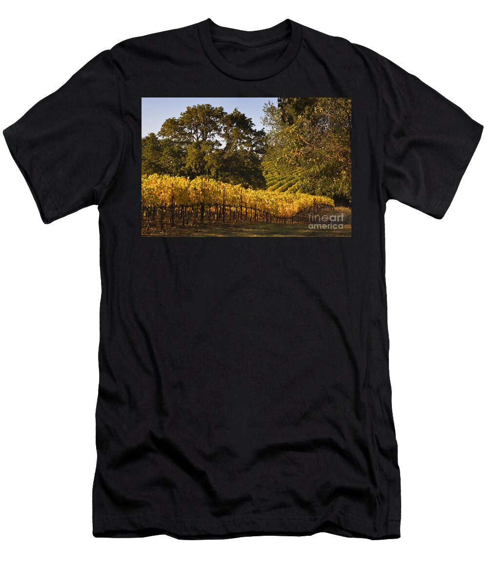 Craig Lovell T-Shirt featuring the photograph Vines and Oaks Alexander Valley by Craig Lovell