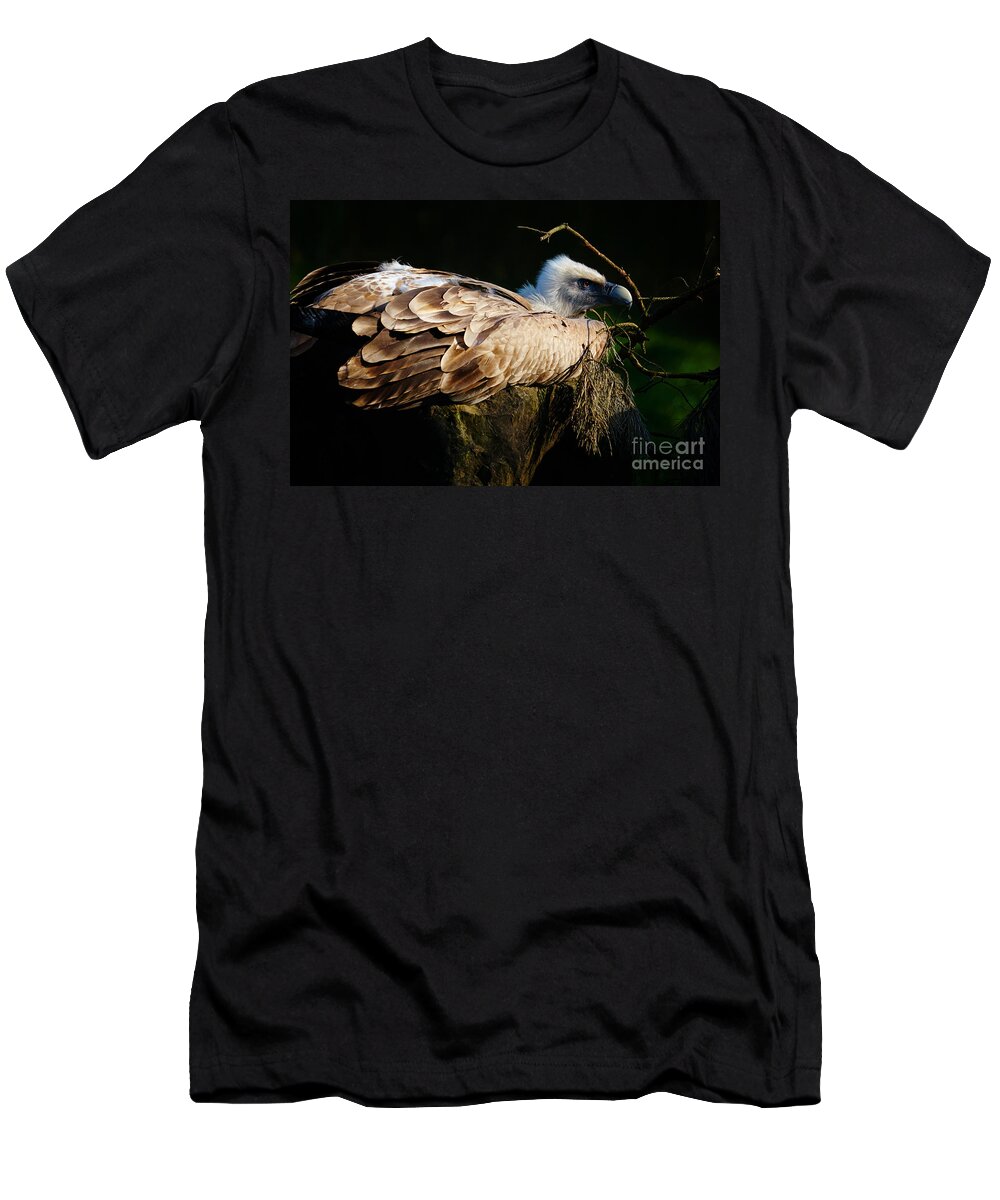 Vulture T-Shirt featuring the photograph Vulture resting in the sun by Nick Biemans