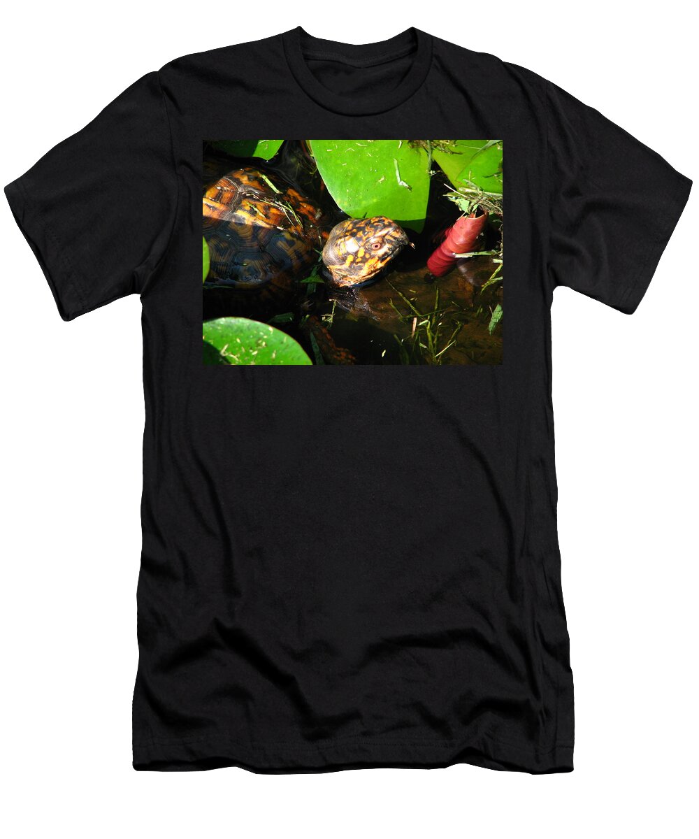 Box Turtle T-Shirt featuring the photograph Wade in the Water by Cleaster Cotton