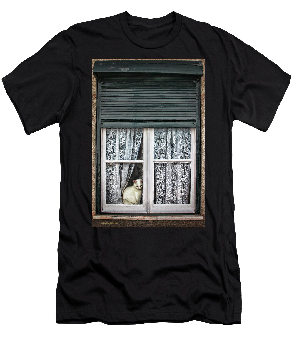 White Cat T-Shirt featuring the photograph Waiting for feline Romeo by Aleksander Rotner