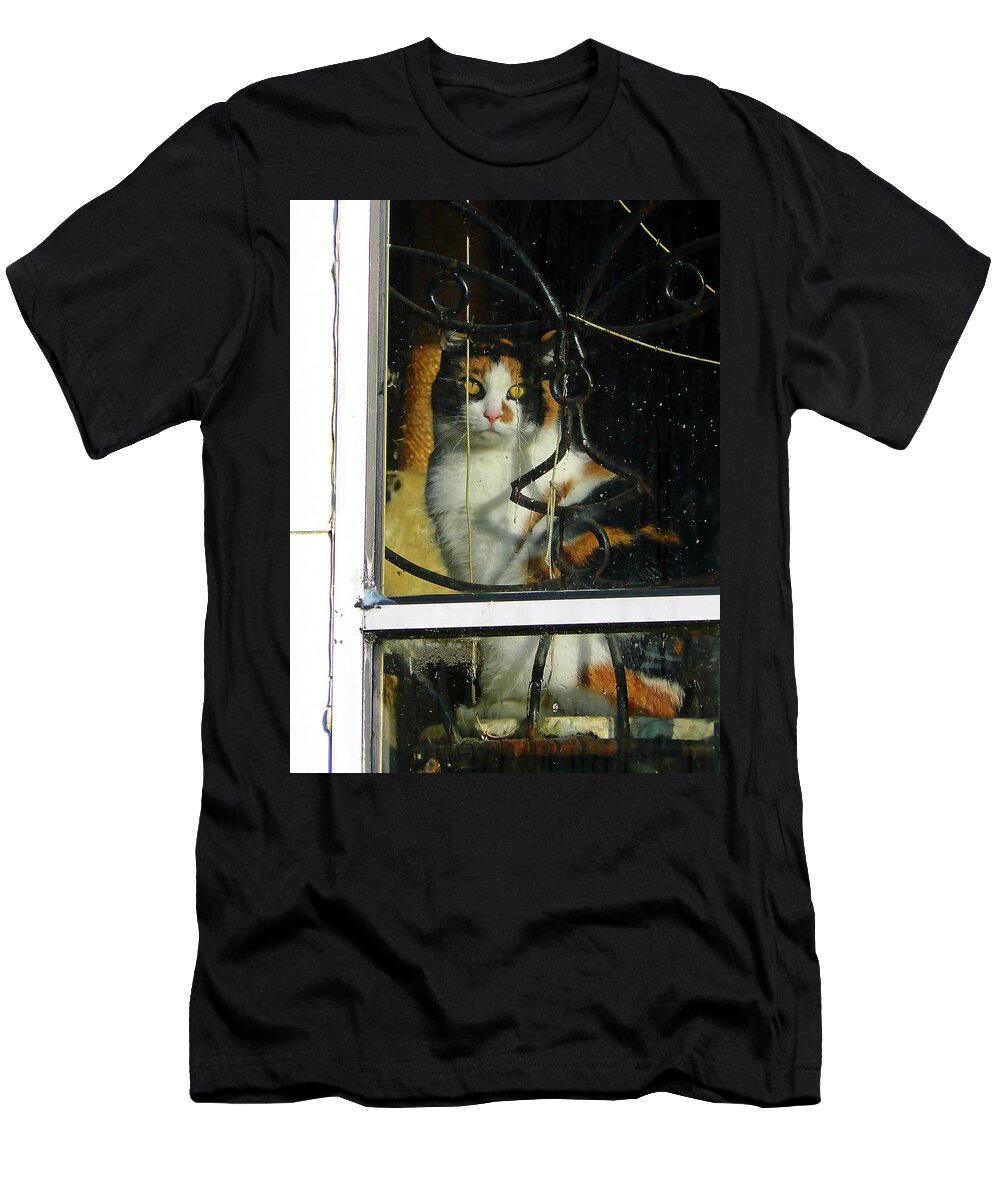 Cat T-Shirt featuring the photograph Waiting on the Rain by Pamela Patch
