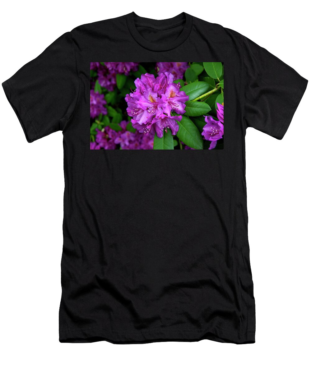Pacific Northwest T-Shirt featuring the photograph Washington Coastal Rhododendron by Ed Riche