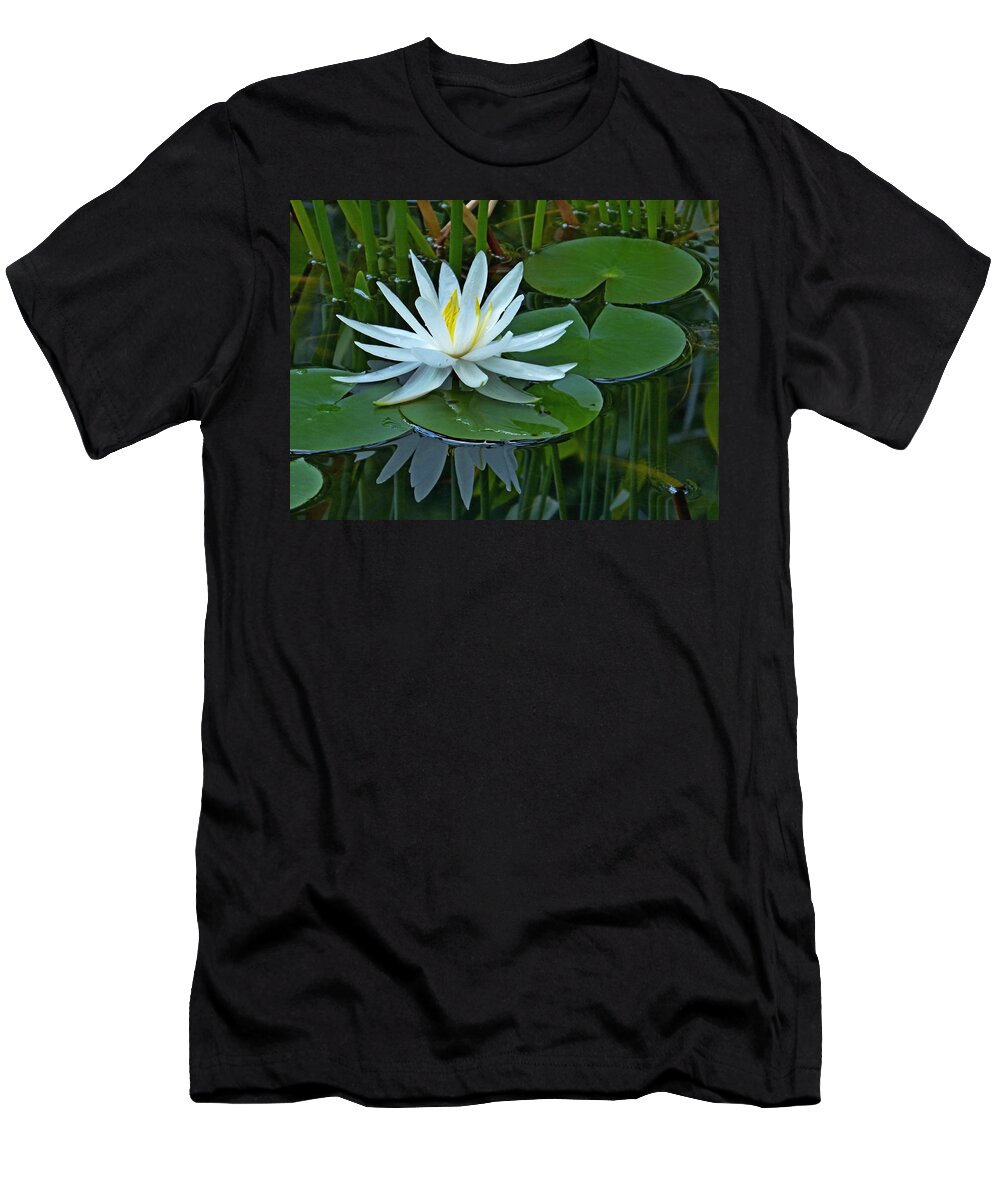 Lily T-Shirt featuring the photograph Water Lily and Reflection by Pete Trenholm