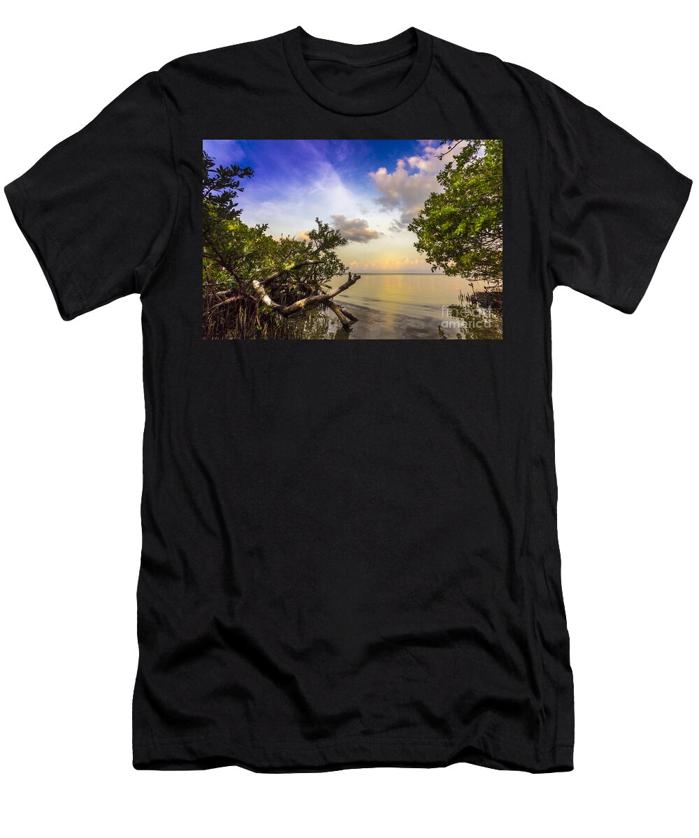 Tampa Bay T-Shirt featuring the photograph Water Sky by Marvin Spates