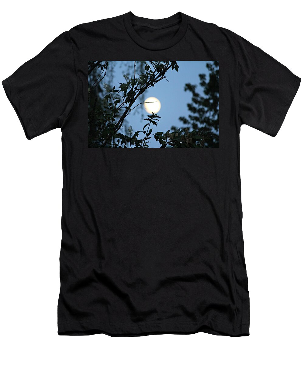  Sky T-Shirt featuring the photograph Where Are The Fairies by Jeanette C Landstrom