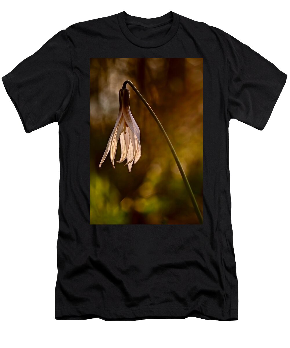 2012 T-Shirt featuring the photograph White Dogtooth Violet by Robert Charity