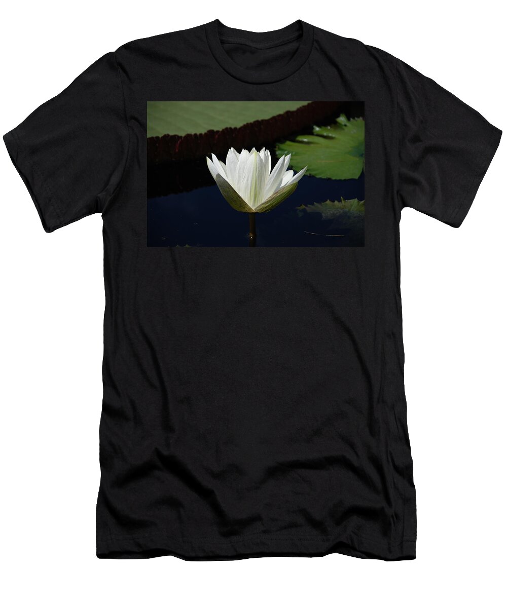 Water T-Shirt featuring the photograph White Flower Growing Out of Lily Pond by Jennifer Ancker