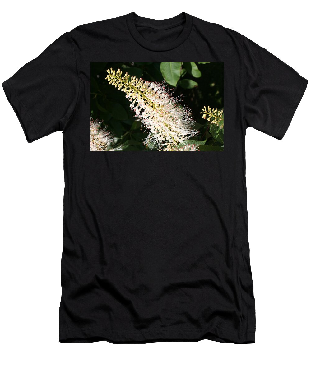 White Flowers T-Shirt featuring the photograph White Flower Panicle by Christiane Schulze Art And Photography