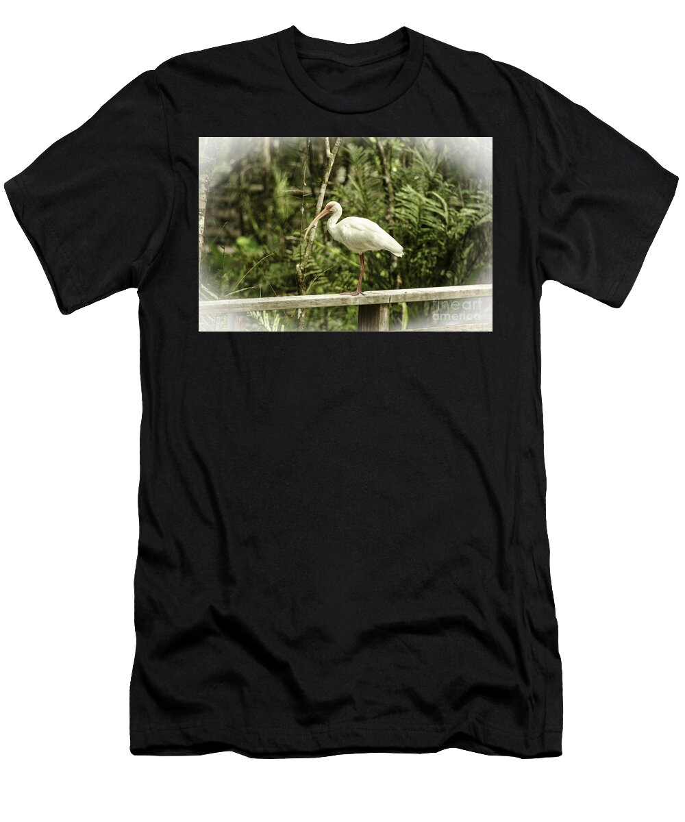 Animal T-Shirt featuring the photograph White Ibis by Mary Carol Story