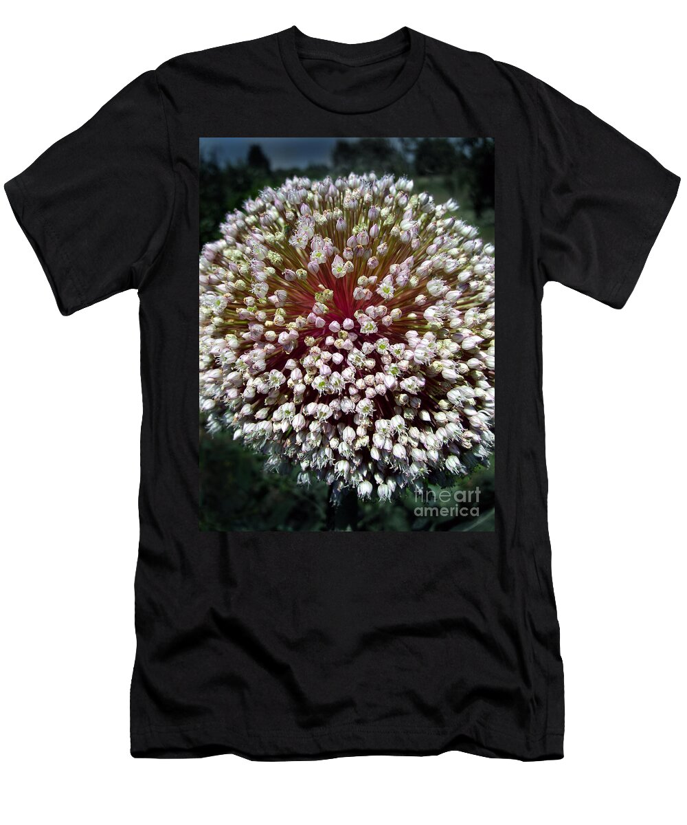 Onion T-Shirt featuring the photograph White Onion Flower by Nina Ficur Feenan