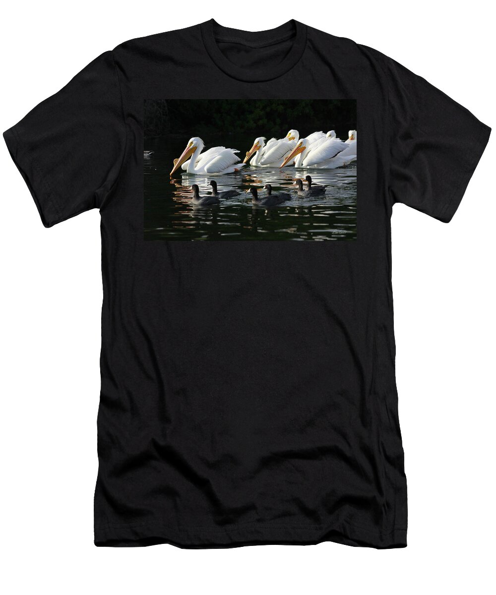 White T-Shirt featuring the photograph White Pelicans and Coots by Diana Haronis