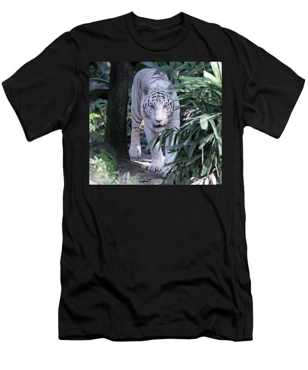 White Tiger T-Shirt featuring the photograph White Tiger by Shoal Hollingsworth