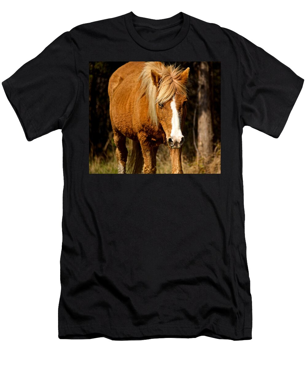 Assateague T-Shirt featuring the photograph Wild Pony by Kathi Isserman