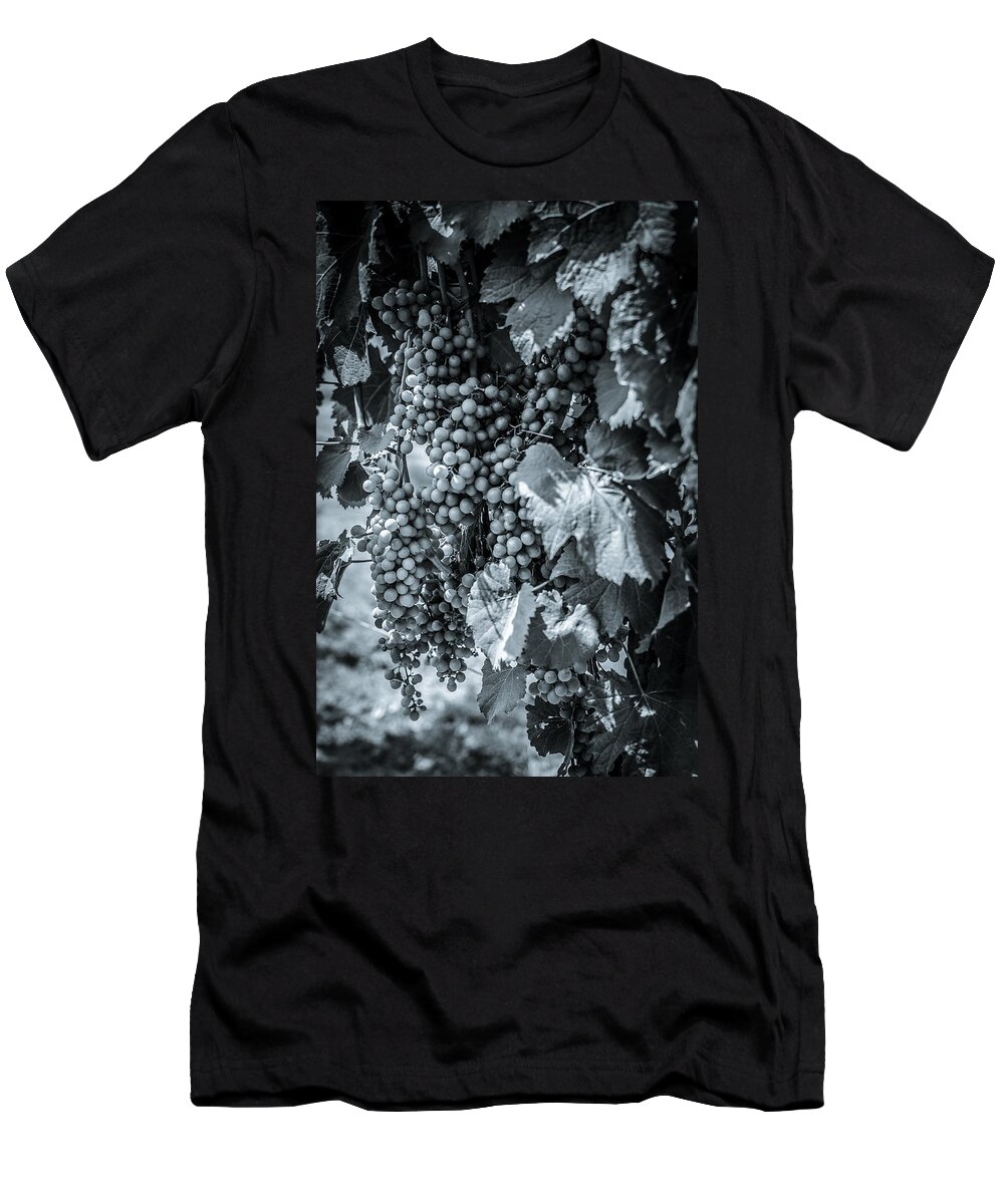 Perissos T-Shirt featuring the photograph Wine Grapes BW by David Morefield