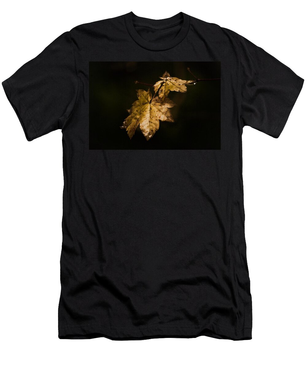 Winter T-Shirt featuring the photograph Winter Leaves by Ron Roberts