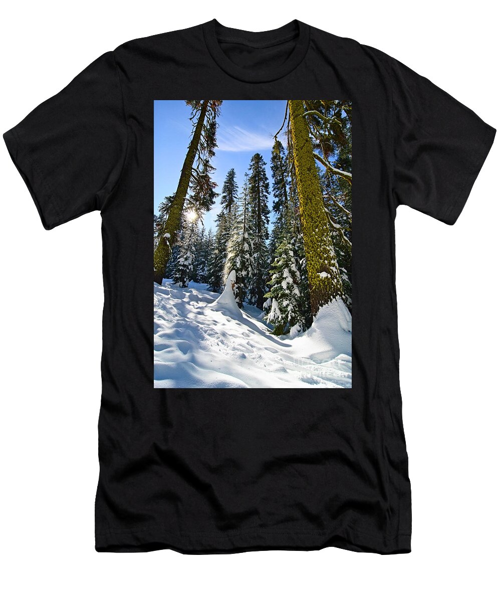 Forest T-Shirt featuring the photograph Winter Wonderland of Badger Pass in Yosemite National Park by Jamie Pham