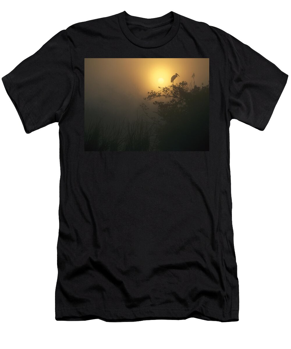 00174957 T-Shirt featuring the photograph Wood Stork Evergladed National Park by Tim Fitzharris