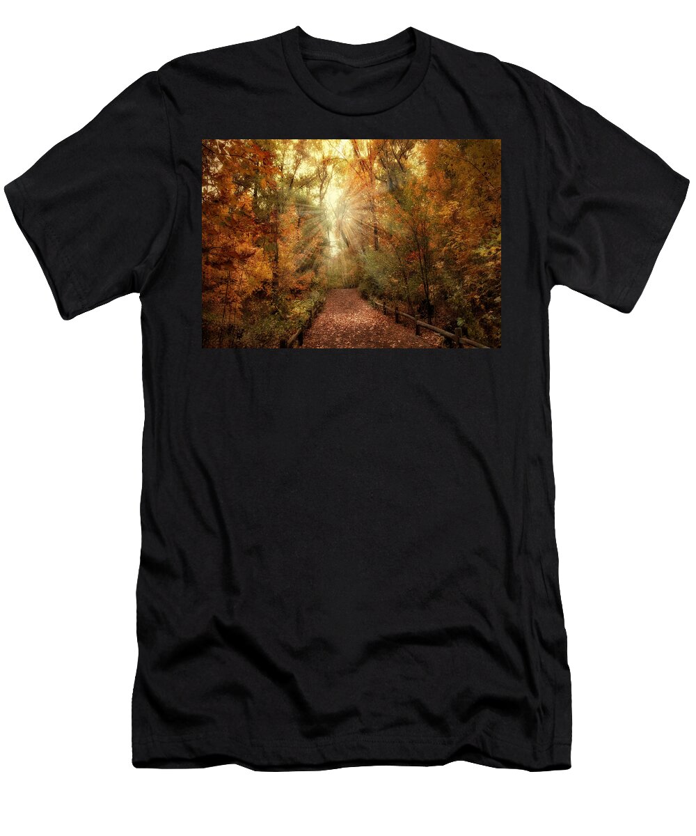 Autumn T-Shirt featuring the photograph Woodland Light by Jessica Jenney
