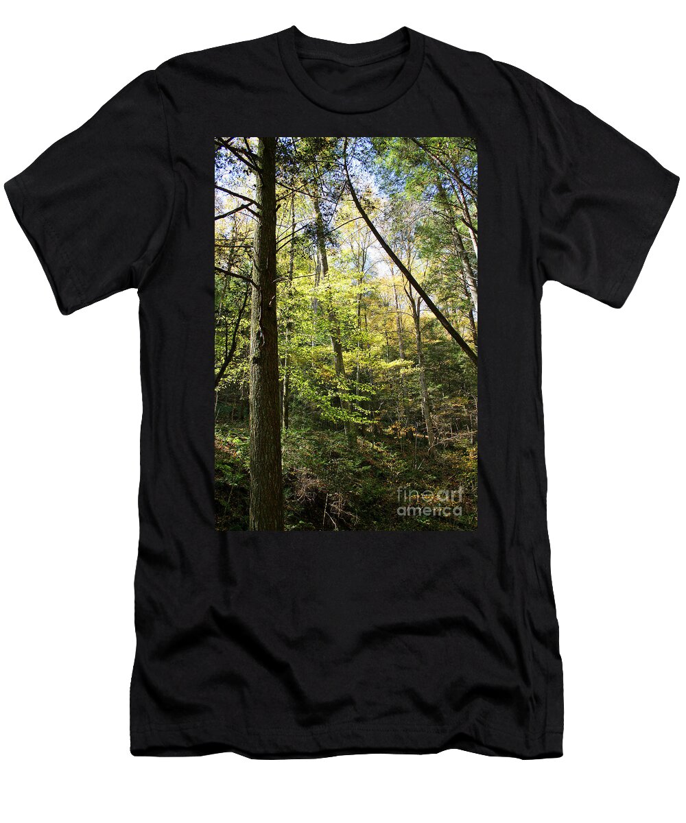 Woods T-Shirt featuring the photograph Woods by Karen Adams
