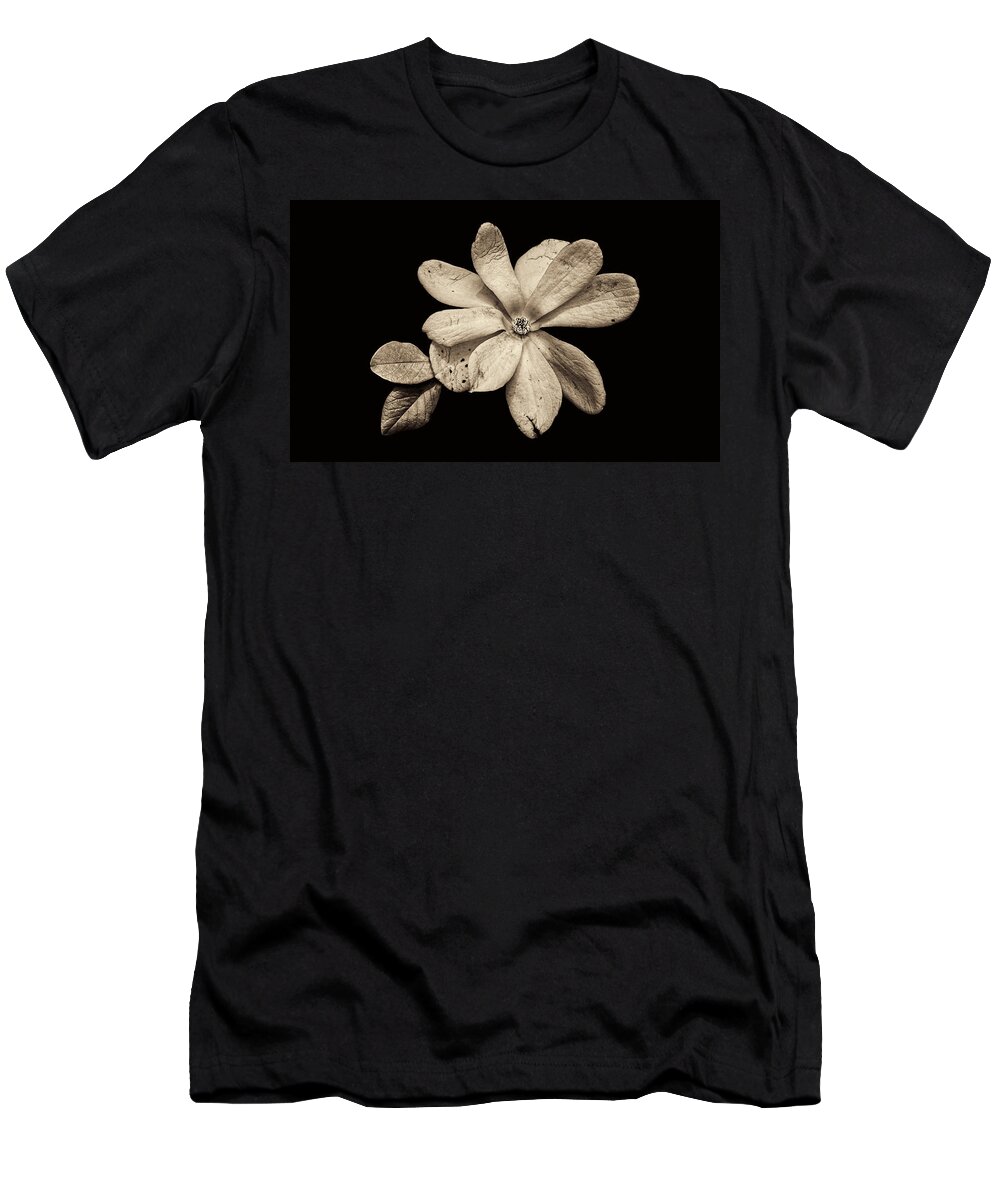 Wounded White Magnolia T-Shirt featuring the photograph Wounded White Magnolia Wide Version Sepia by Weston Westmoreland