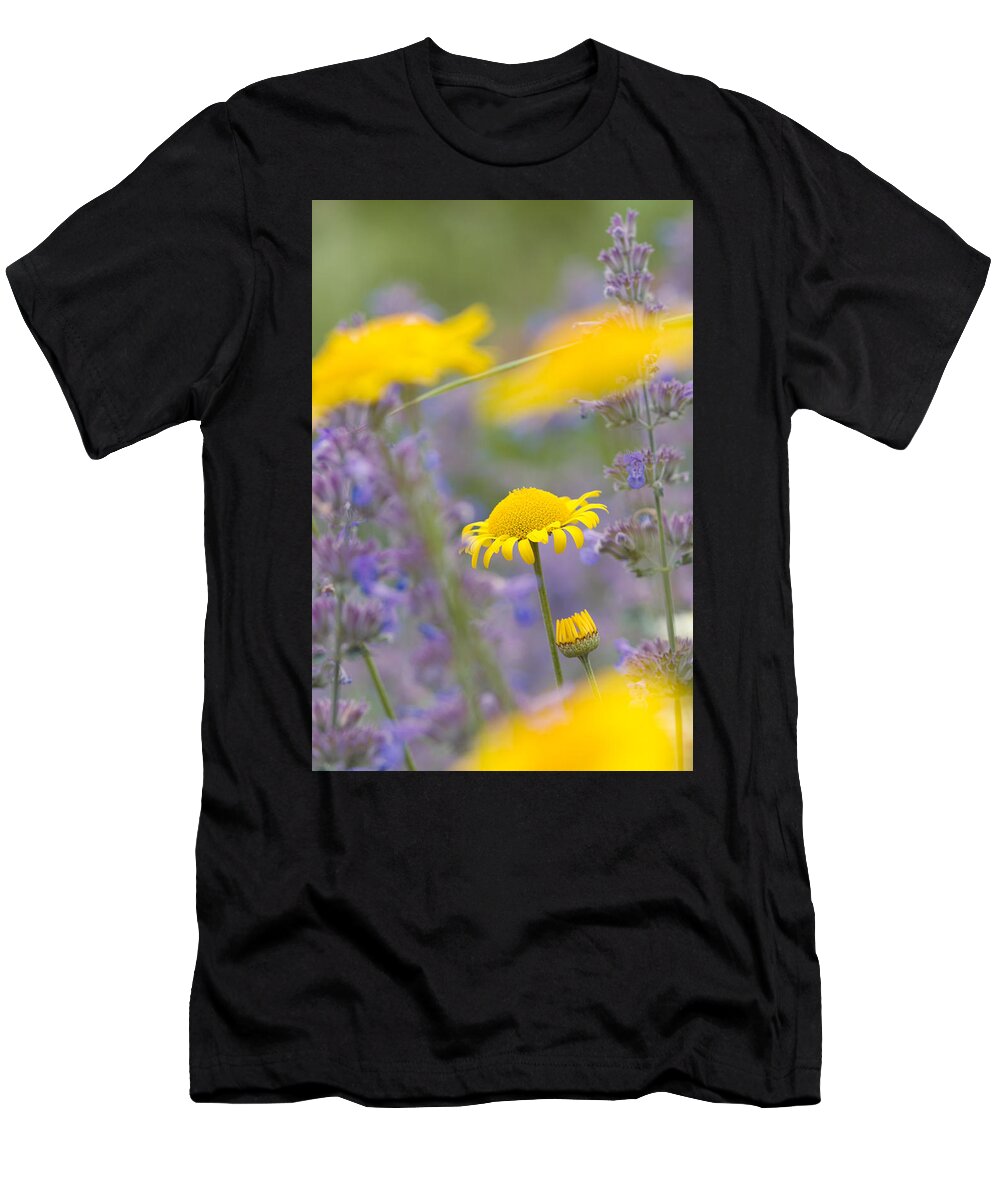 Yellow T-Shirt featuring the photograph Yellow and purple flowers on a green summer meadow by Matthias Hauser