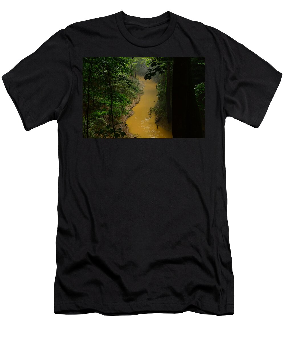 Cedar Sink Creek T-Shirt featuring the photograph Hidden Cedar SInk Creek by Stacie Siemsen