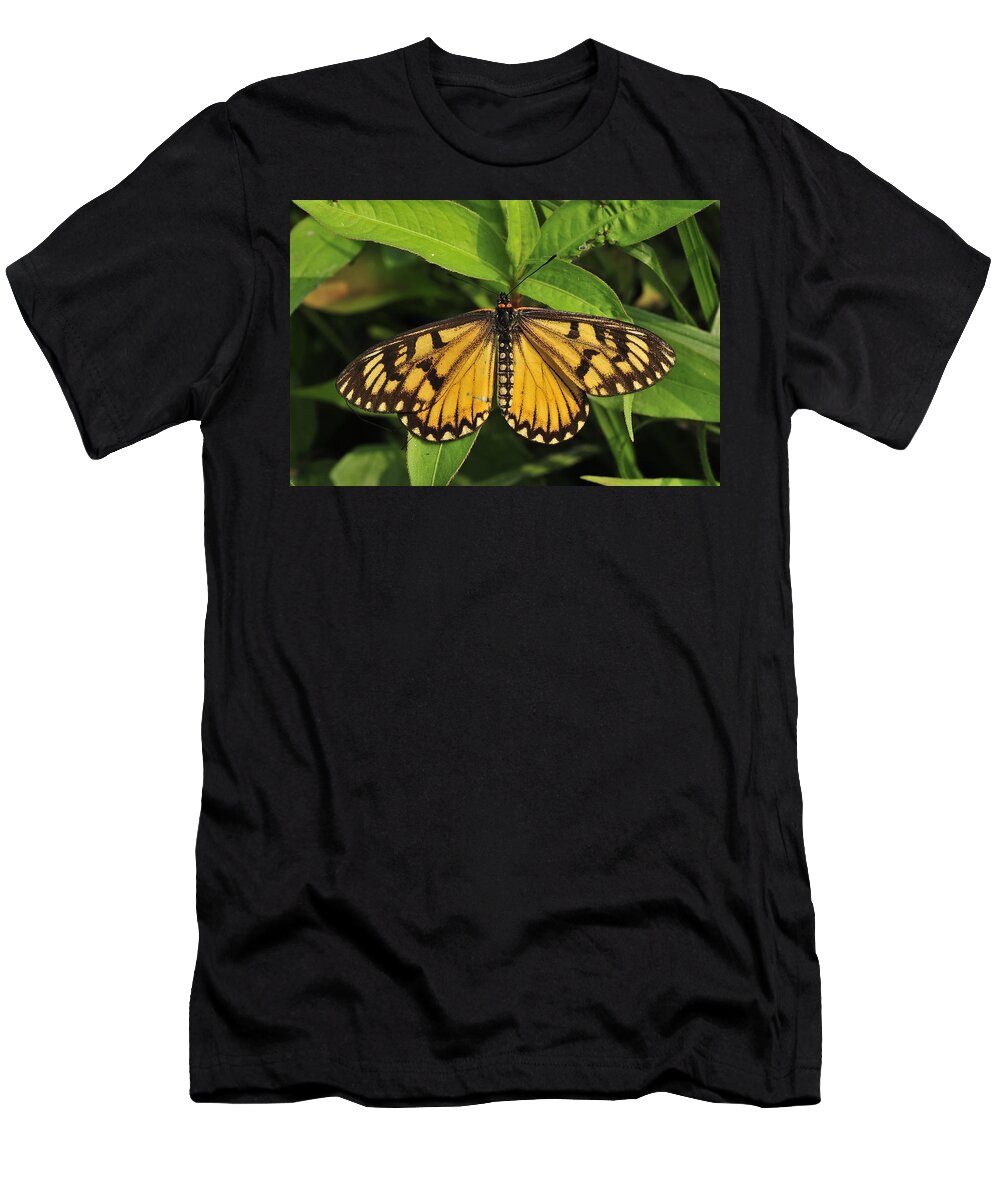 Thomas Marent T-Shirt featuring the photograph Yellow Coster Butterfly Manas Np India by Thomas Marent