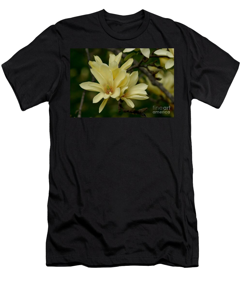 Magnolia T-Shirt featuring the photograph Yellow Magnolia by Living Color Photography Lorraine Lynch
