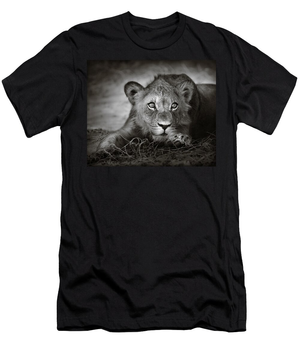 Wild T-Shirt featuring the photograph Young lion portrait by Johan Swanepoel