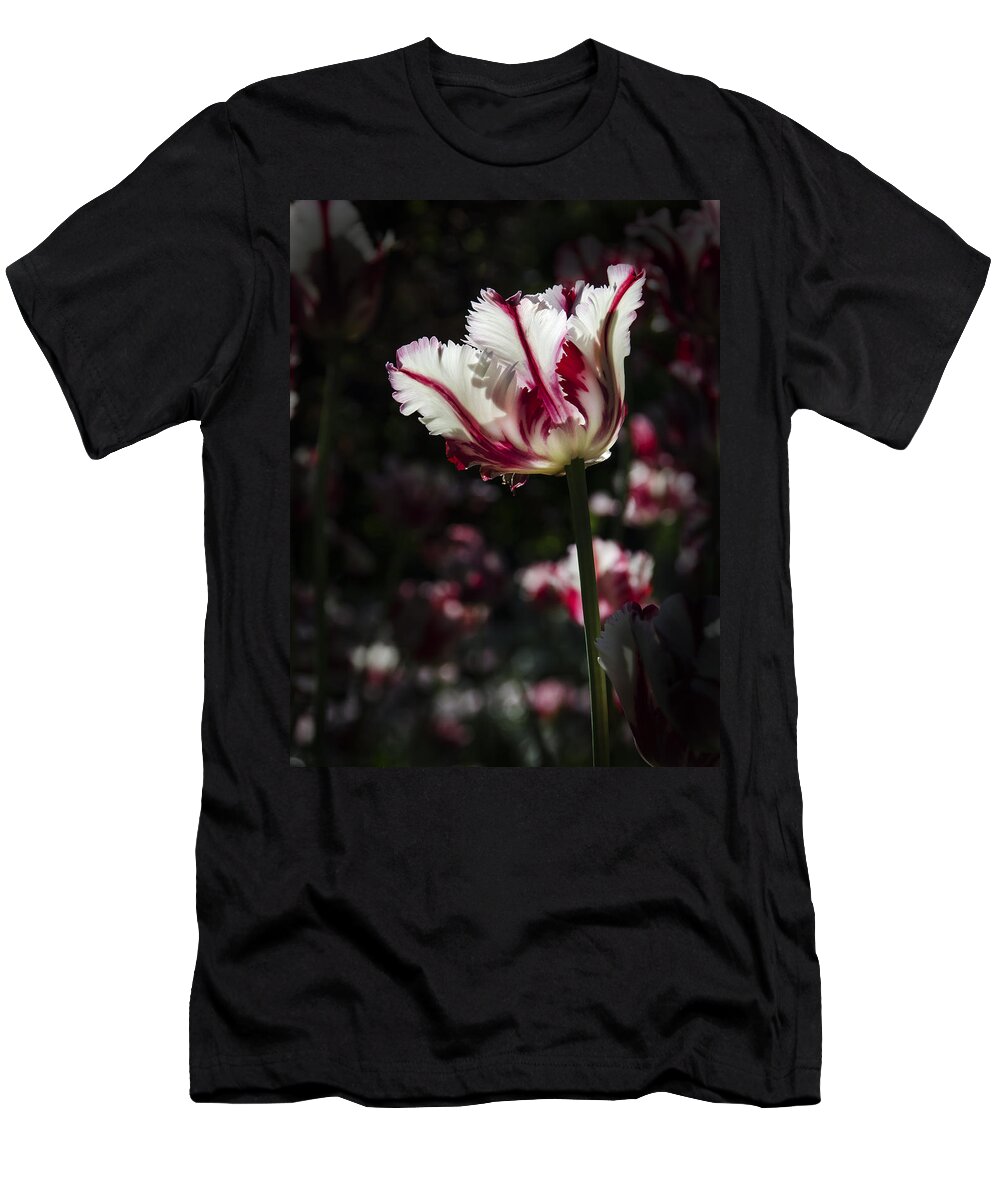 Tulip T-Shirt featuring the photograph You're The Only One I See by Sandra Parlow