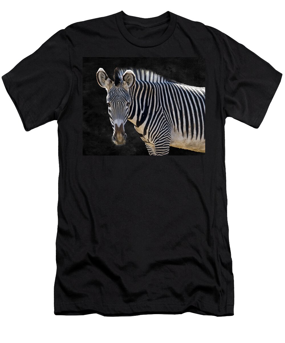 Animal T-Shirt featuring the photograph Z is for Zebra by Juli Scalzi