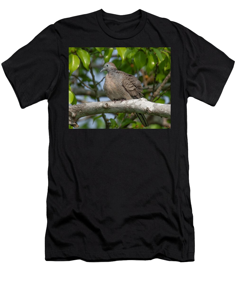Nature T-Shirt featuring the photograph Zebra Dove or Barred Ground Dove DTHN0054 by Gerry Gantt