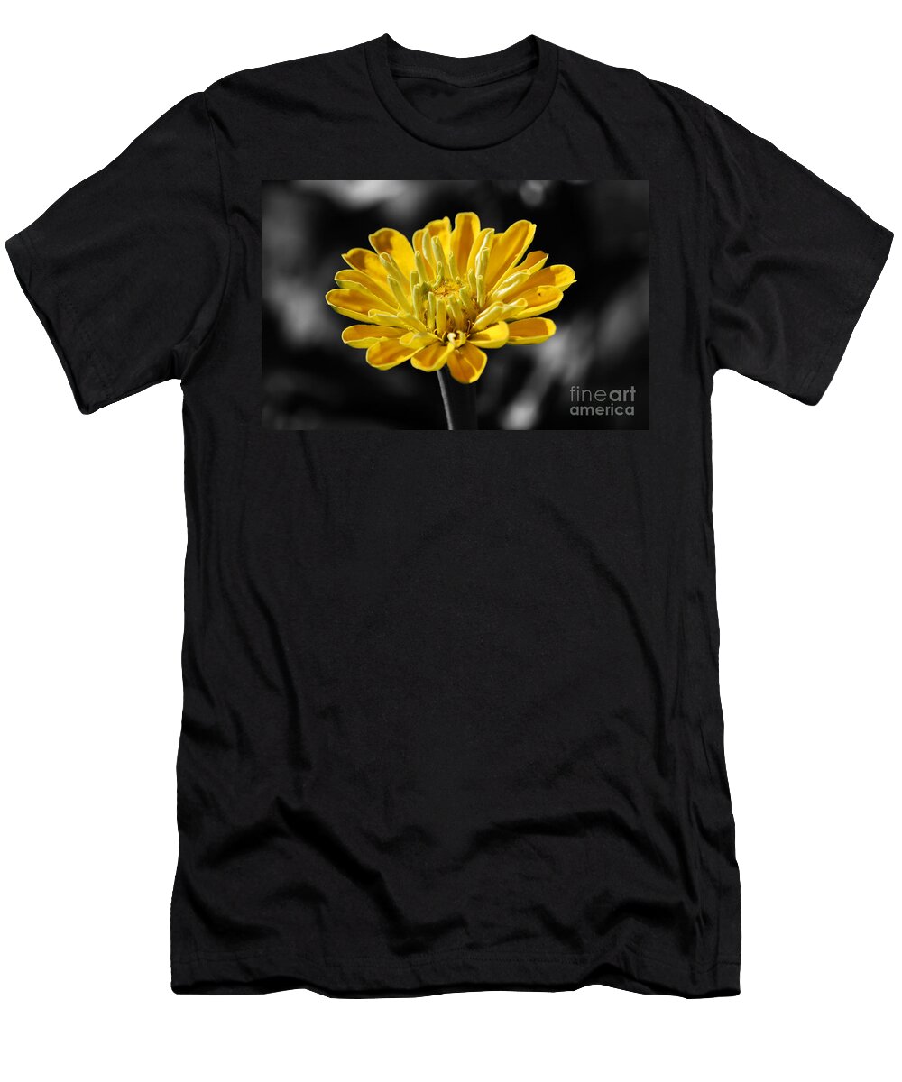Zinnia T-Shirt featuring the photograph Zinnia Yellow Flower Floral Decor Macro Color Splash Black and White Digital Art by Shawn O'Brien