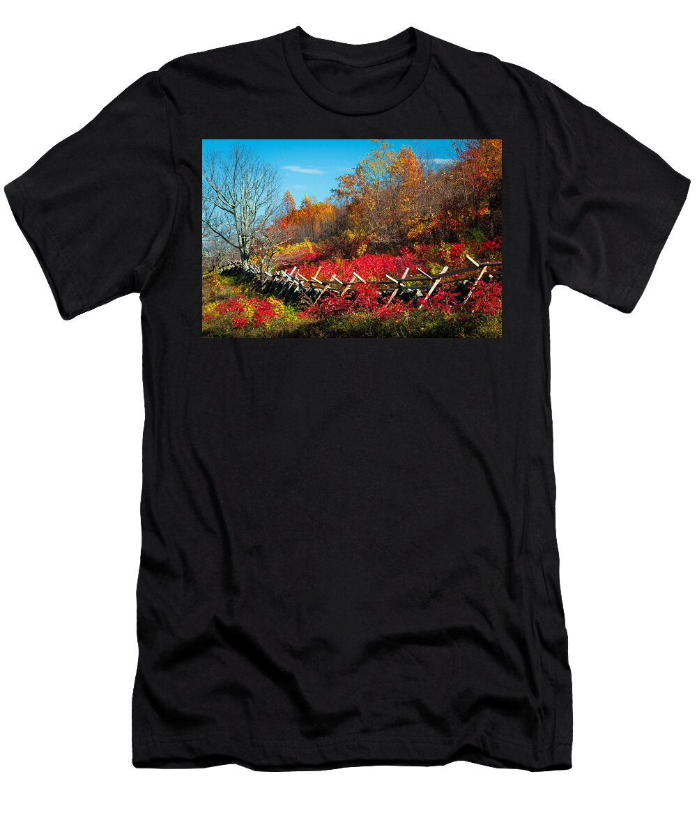 Forests T-Shirt featuring the photograph Beyond Boundaries by Lynn Bauer