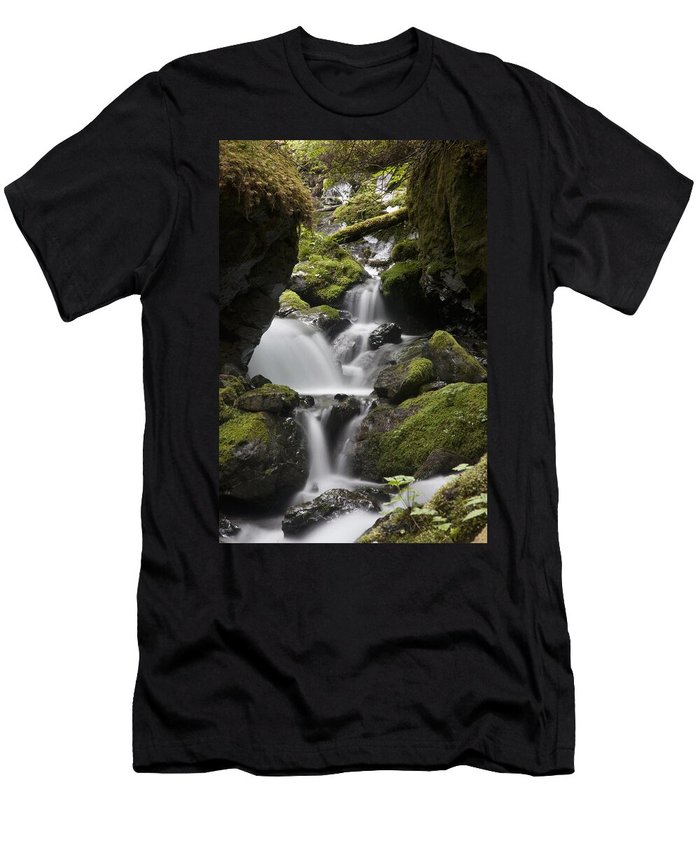 Mp T-Shirt featuring the photograph Cascading Creek In Temperate Rainforest #1 by Matthias Breiter