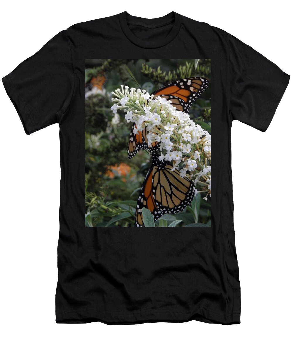 Monarch T-Shirt featuring the photograph Double Beauty by Kim Galluzzo Wozniak
