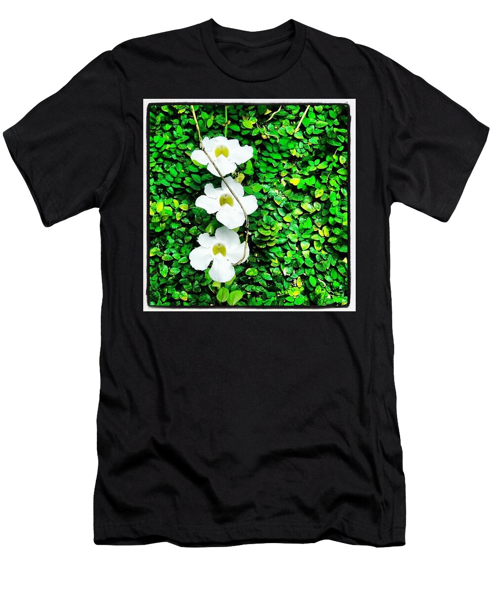  T-Shirt featuring the photograph Flowers #1 by Lorelle Phoenix