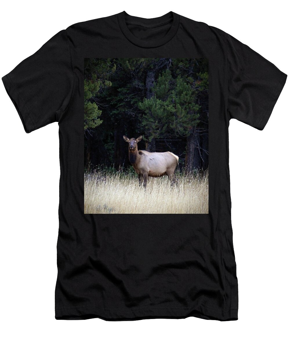 Wolf T-Shirt featuring the photograph Forest Elk by Steve McKinzie
