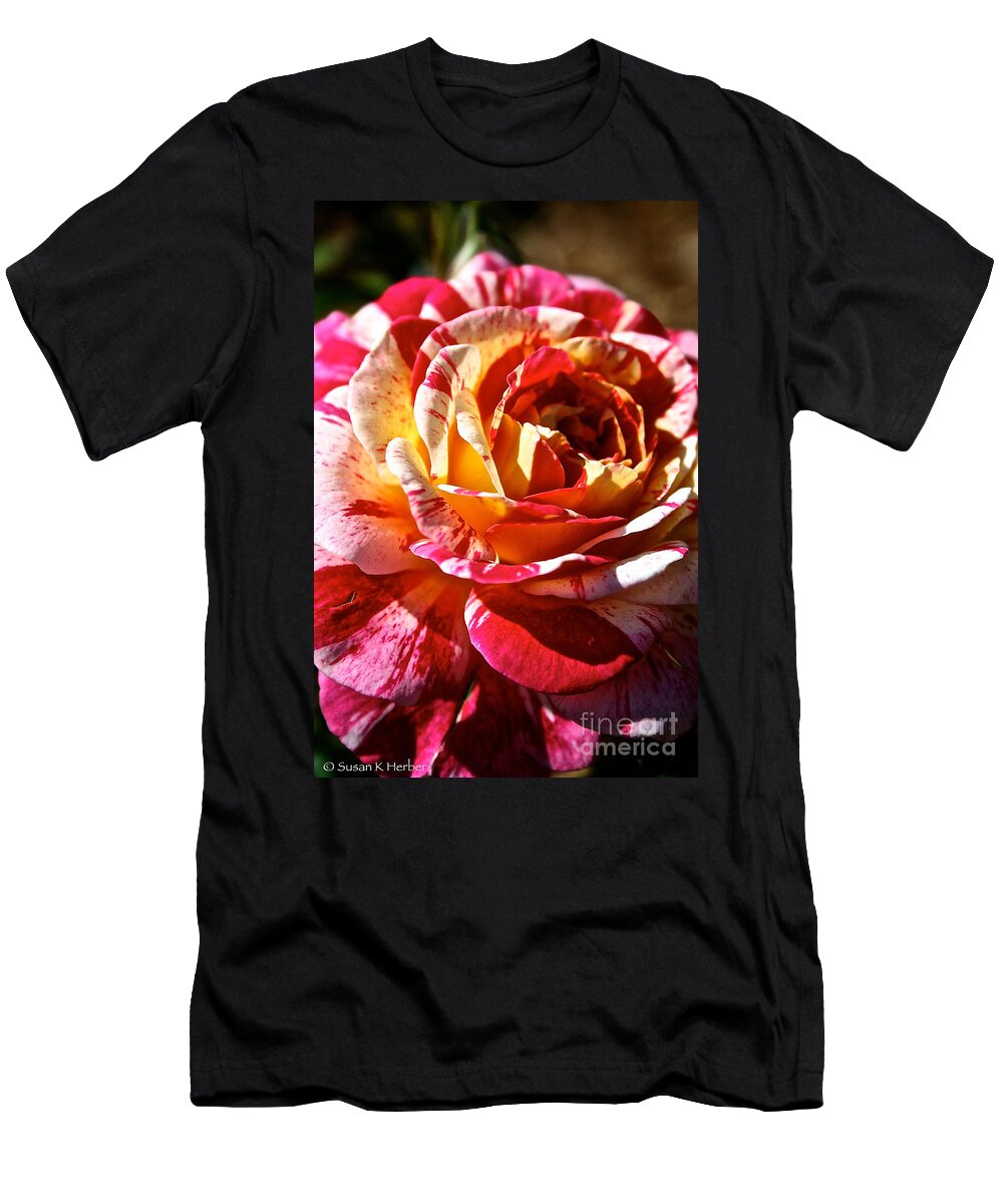Plant T-Shirt featuring the photograph Full Bloom #1 by Susan Herber