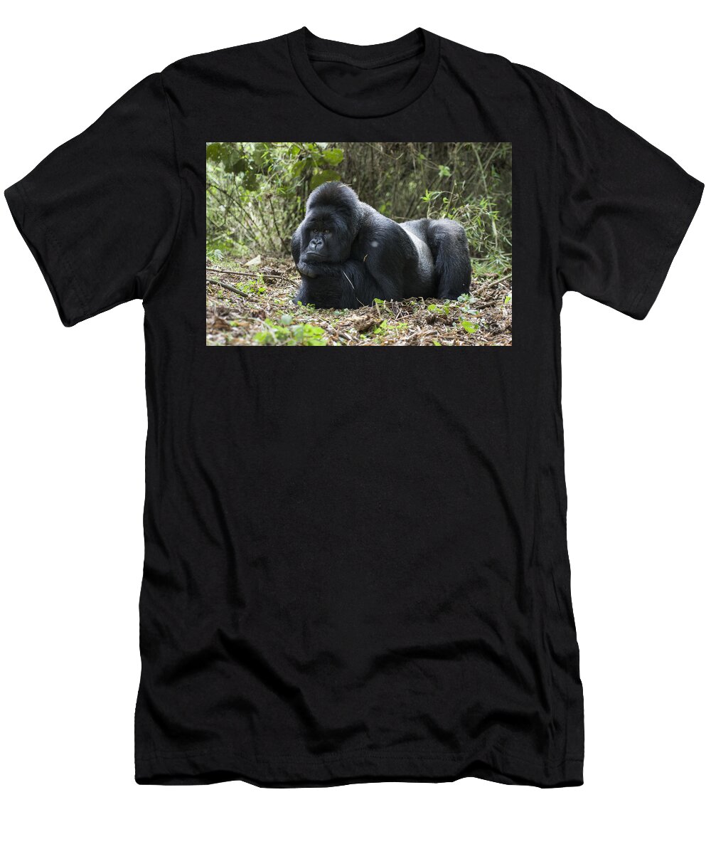 00511948 T-Shirt featuring the photograph Mountain Gorilla Silverback Resting #1 by Suzi Eszterhas